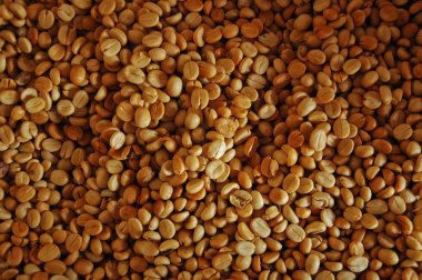 kahverengi organik kahve çekirdekleri