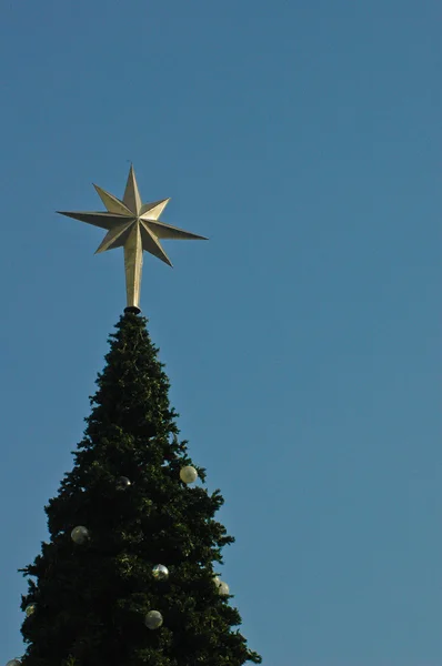 Albero di Natale e la stella — Foto Stock