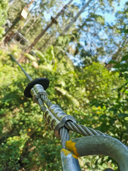 Starkes Metallseil Das Zwischen Bäumen Zum Gleiten Wald Verbunden Ist — Stockfoto