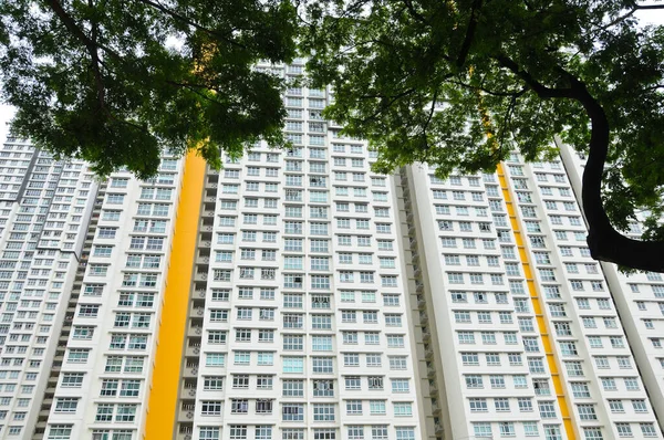 Apartamentos Residenciales Gran Altura Con Algunas Ventanas Abiertas Con Bosque —  Fotos de Stock