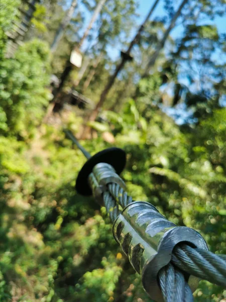 Sterke Metalen Touwkabel Tussen Bomen Het Bos Zweven — Stockfoto