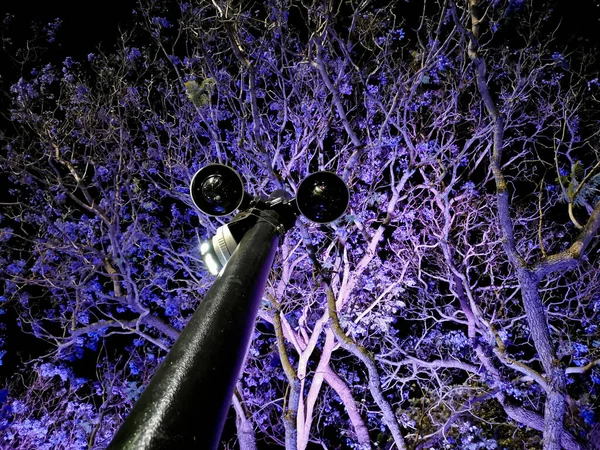 Полюс Камер Видеонаблюдения Наблюдения Ситуацией Загадочном Фиолетовом Лесу — стоковое фото