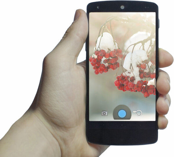 Фото горного пепла на смартфоне
.