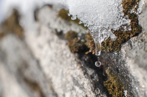 Goutte, tombant des glaçons, pesant sur la roche . — Photo