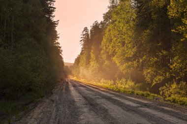 Sunset Bulvarında bir ülke yolunda.