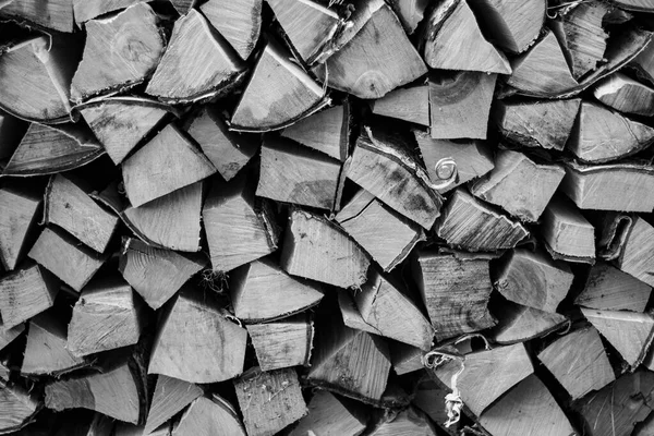 Kesilmiş huş ağacından bir odun yığını