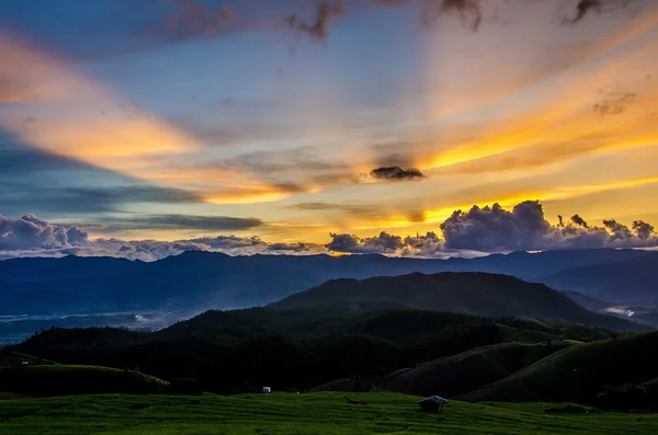 Rice Fields — Stock Photo, Image