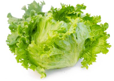 Beyaz Arkaplanda Yeşil Buzdağı Marulu