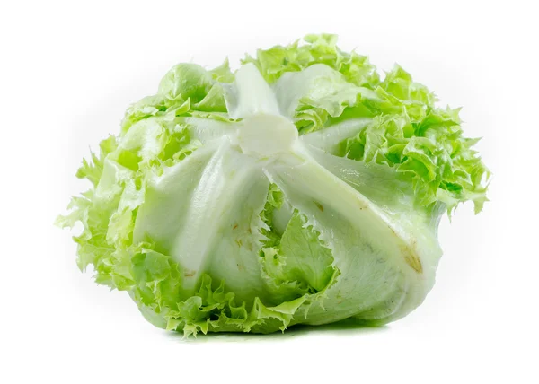 Zielona sałata lodowa na białym tle — Zdjęcie stockowe