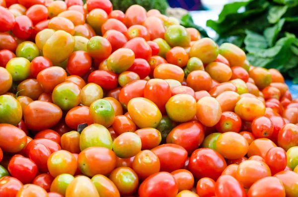 Antecedentes dos tomates locais — Fotografia de Stock