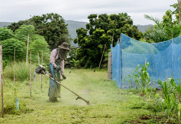 Homem cortador de grama — Fotografia de Stock