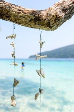 soyut kuru mercan arka plan