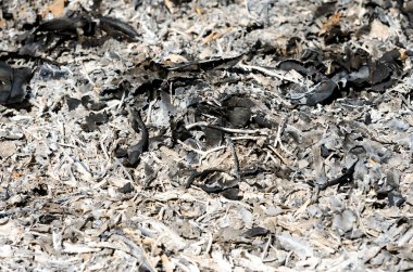 Kuru ve kırık dünya arka plan dokusu