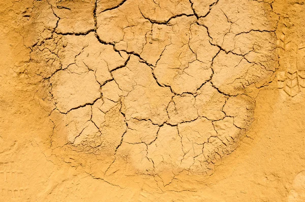 乾燥してひび割れている地球の背景のテクスチャ — ストック写真