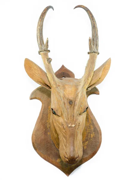 Carved wooden deer head isolated on white background — Stock Photo, Image