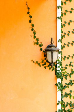 Sarı bir duvar fener