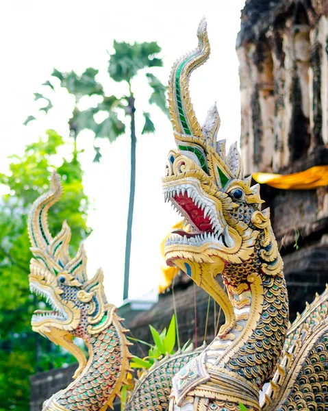 Naga em templo — Fotografia de Stock