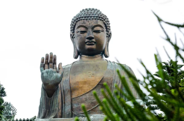 Tian tan Buda - buda lantau Island, hong kong dünyanın en yüksek bronz — Stok fotoğraf