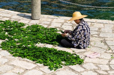 Hong kong - 27 Mart: repulse Bay, hong kong kurutulmuş yosun vardı. 27 Mart 2014.