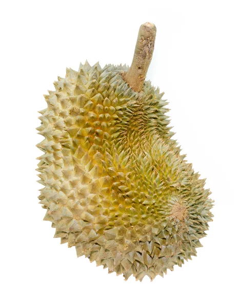 Rei dos frutos, durian isolado sobre fundo branco — Fotografia de Stock