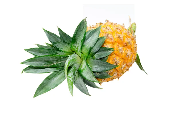 Ananas isolerad på vit — Stockfoto