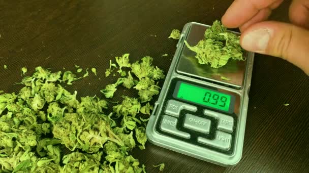 Balança Eletrônica Buds Marijuana Erva Daninha Mesa Madeira Calculadora Cena — Vídeo de Stock