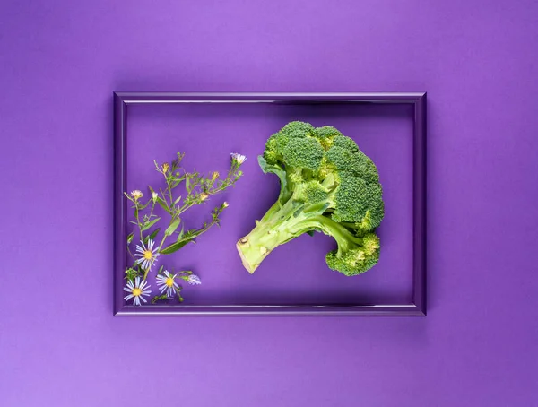Renkli arka planda brokoli filizi, çerçevede izole edilmiş yeşil lahana. Mükemmel Taze Brokoli Sprig