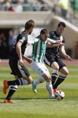 ferencvaros vs. diosgyori vtk otp Bankası Ligi Futbol Maç