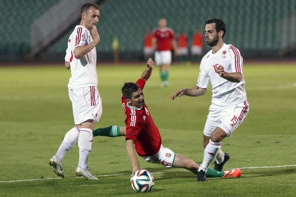 Freundschaftsspiel Ungarn gegen Albanien — Stockfoto