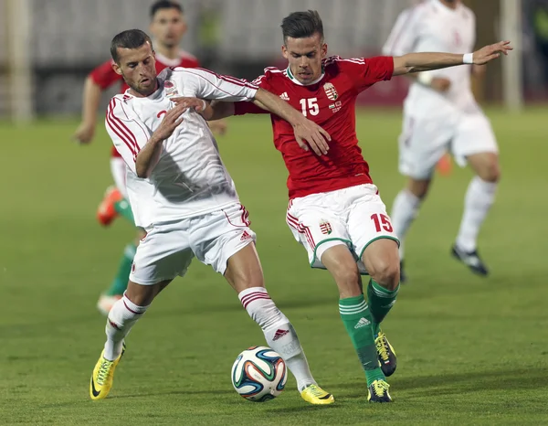 Hongarije vs. Albanië vriendschappelijke voetbalwedstrijd — Stockfoto