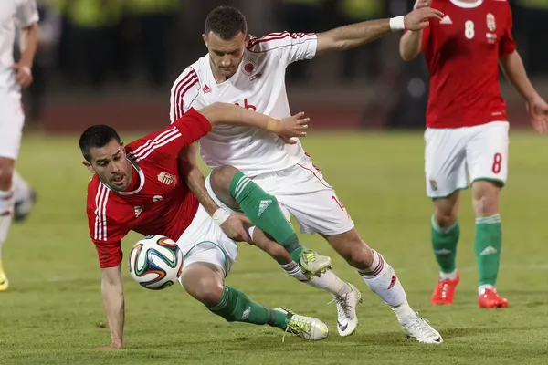 Hongrie vs. Albanie match de football amical — Photo