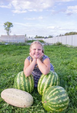 Kız olgun karpuzların ve kavunların yanında çimlerin üzerinde oturuyor.. 