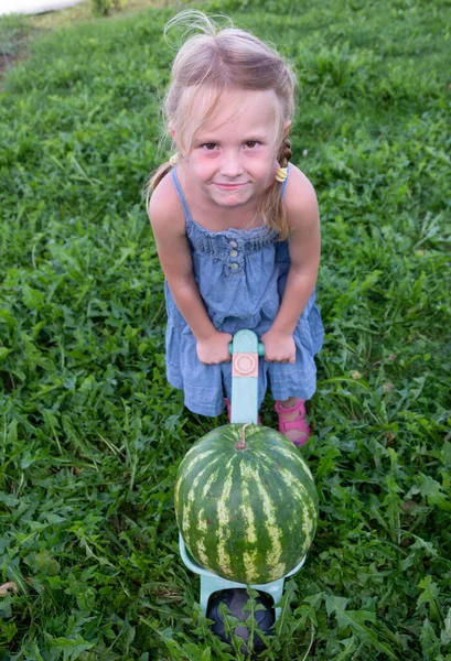 一个小女孩正在玩具车里提着一个大的成熟西瓜 — 图库照片