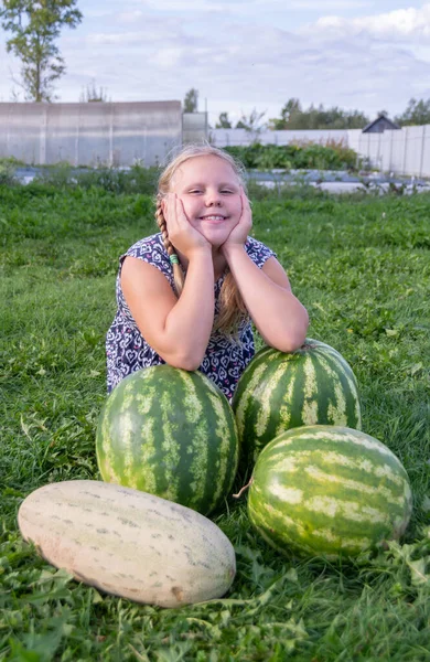 Het Meisje Zit Het Gras Bij Rijpe Grote Watermeloenen Meloenen Stockafbeelding