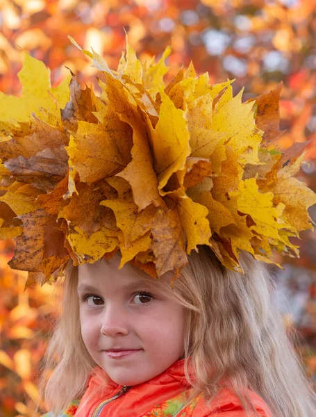 Jesienią Portret Dziewczyny Wieńcem Żółtego Upadłego Klonu Głowie Jesiennych Kolorach — Zdjęcie stockowe