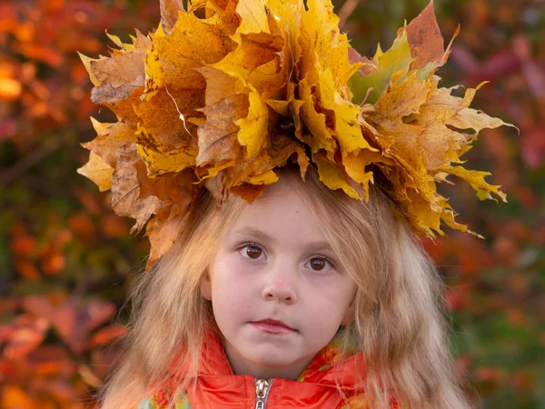 Otoño Retrato Una Niña Con Una Corona Hojas Arce Amarillo — Foto de Stock