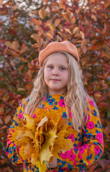 Herbst Das Mädchen Hält Die Herbstlich Gelben Schönen Ahornblätter Der — Stockfoto