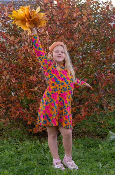 소녀는 가을의 아름다운 단풍나무 — 스톡 사진