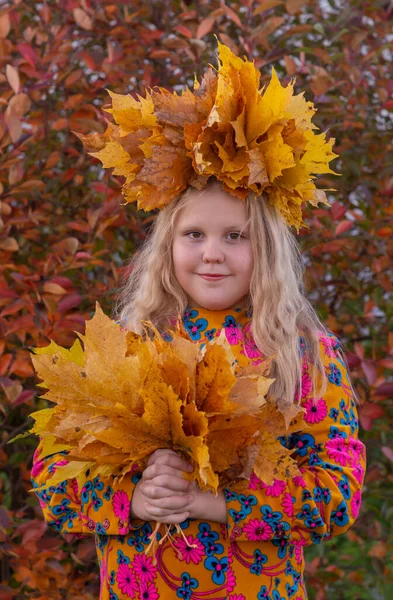 Ősz Egy Lány Juharfalevélkoszorúval Fején Tartja Ősz Sárga Gyönyörű Juharfaleveleket — Stock Fotó