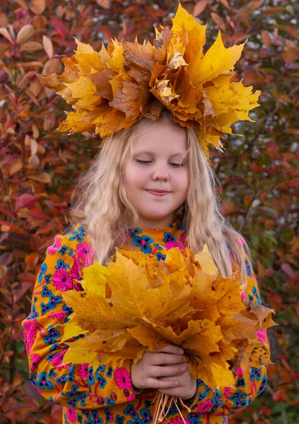 Ősz Egy Lány Juharfalevélkoszorúval Fején Tartja Ősz Sárga Gyönyörű Juharfaleveleket — Stock Fotó