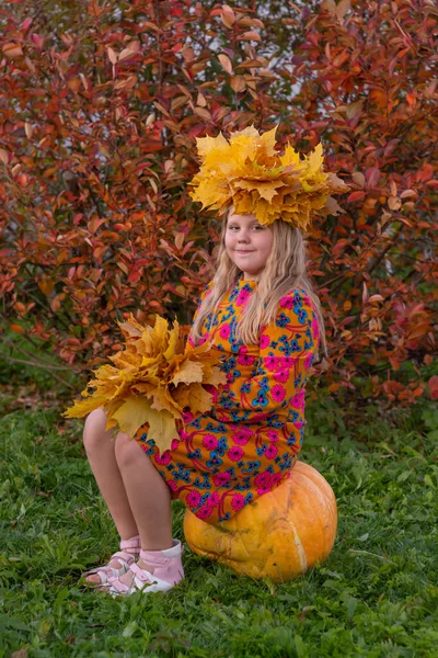 一个头戴黄色枫叶花环 手里拿着一束秋叶的姑娘坐在一个巨大的黄色南瓜上 — 图库照片