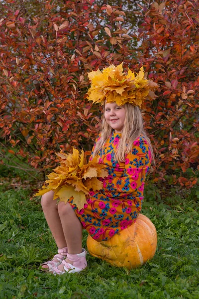 Una Niña Con Una Corona Hojas Arce Amarillo Caído Cabeza — Foto de Stock