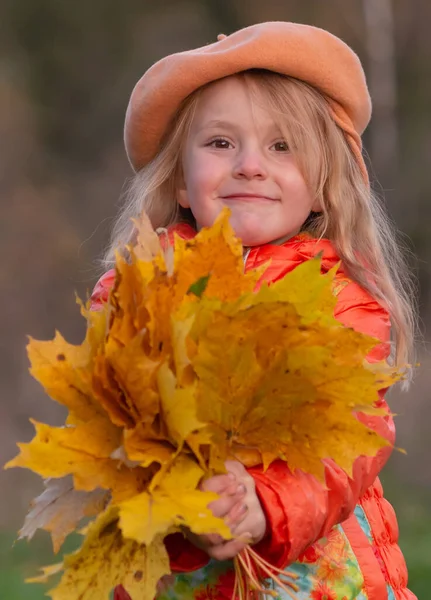 Otoño Niña Sostiene Sus Manos Las Hojas Arce Amarillo Otoño — Foto de Stock