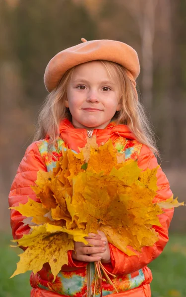 Sonbahar Kız Elinde Düşmüş Sonbahar Sarısı Akçaağaç Yapraklarını Tutuyor — Stok fotoğraf
