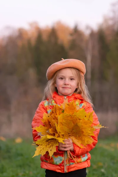 这个女孩手里拿着秋天落下来的黄色美丽的枫叶 — 图库照片