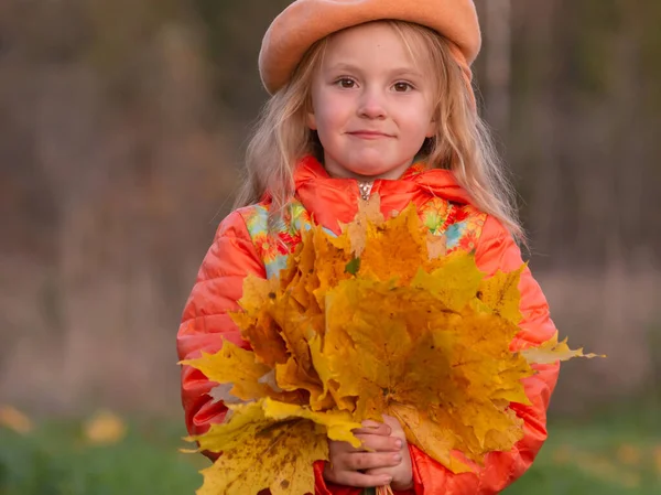 Sonbahar Kız Elinde Düşmüş Sonbahar Sarısı Akçaağaç Yapraklarını Tutuyor — Stok fotoğraf