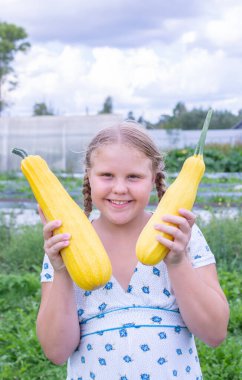 Kız, bahçede yetişen büyük olgun kabağı elinde tutuyor..