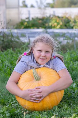 Sonbahar. Hasat. Bir kız ve bir balkabağı.
