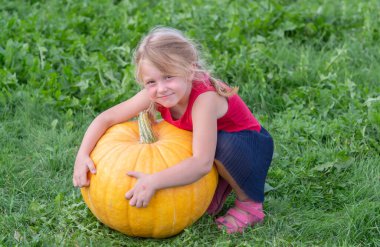 Sonbahar. Hasat. Bir kız ve bir balkabağı.