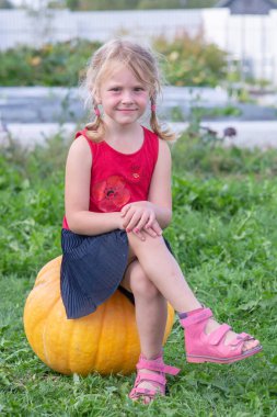 Kız kocaman sarı bir balkabağının üzerinde oturuyor.. 